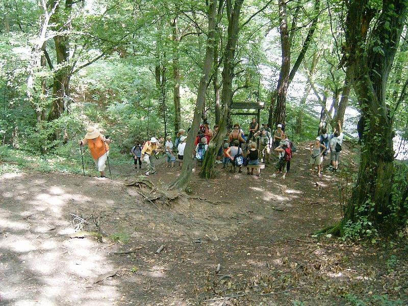2010.07.24. 036.jpg